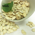 Venda quente de sementes de abóbora brilhante da China, fornecedor